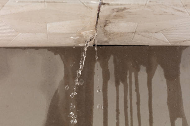Professional Water Damage Repair technician working in Raymond, IL